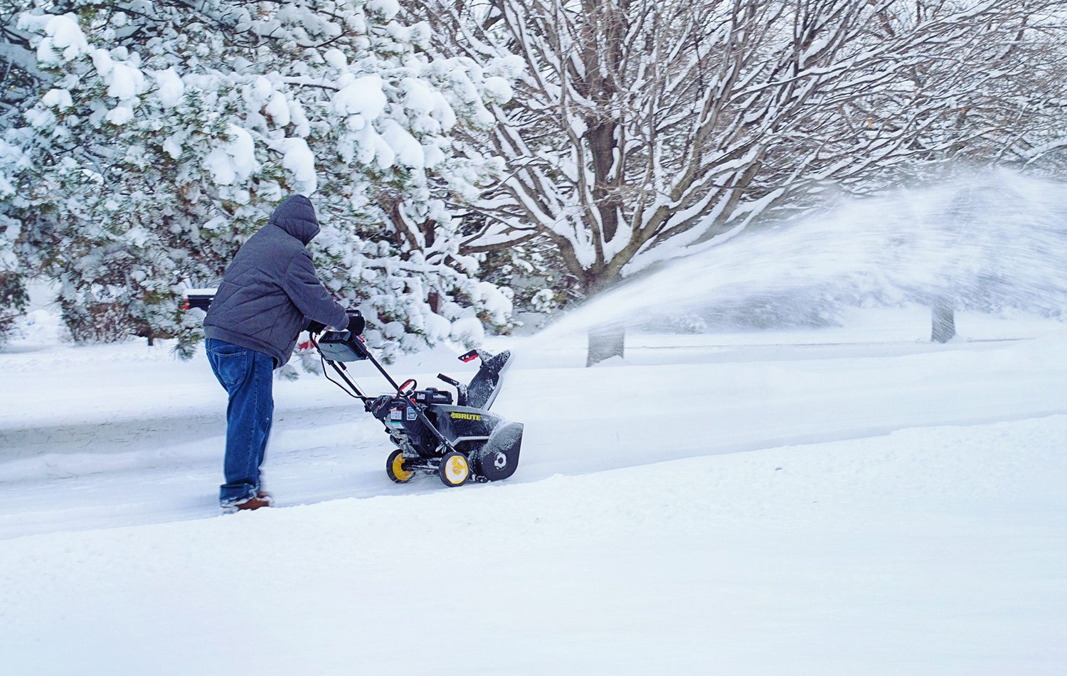 Landscaping and Snow Removal Business